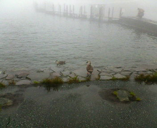 07.13 �~�X�g�i�΁j