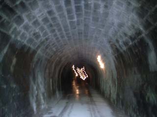 10/9 �V��g���l��