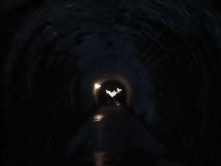 10/9 �V��g���l��