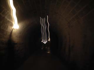 10/9 �V��g���l��