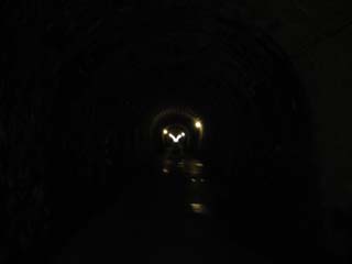 10/9 �V��g���l��