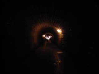 10/9 �V��g���l��