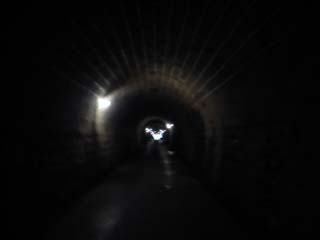 10/9 �V��g���l��