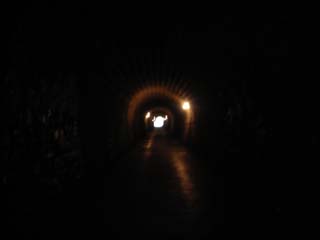 10/9 �V��g���l��