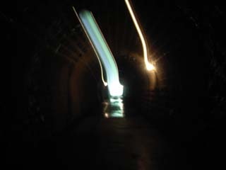 10/9 �V��g���l��