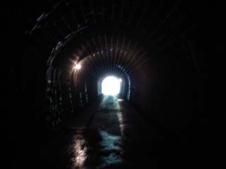 10/9 �V��g���l��