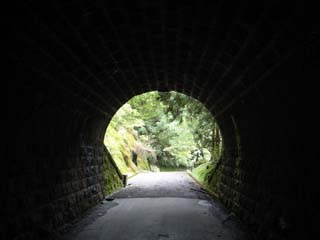 10/9 �V��g���l��