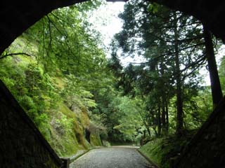 10/9 �V��g���l��