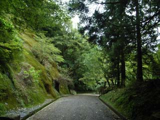 10/9 �V��g���l��