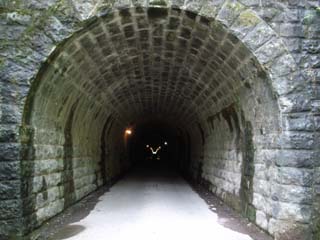 10/9 �V��g���l��