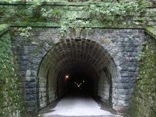 10/9 �V��g���l��