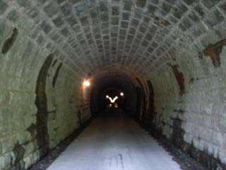 10/9 �V��g���l��