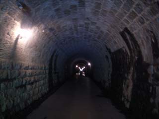 10/9 �V��g���l��