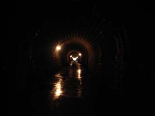 10/9 �V��g���l��