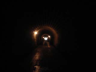 10/9 �V��g���l��