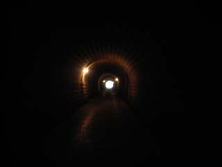 10/9 �V��g���l��