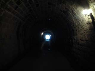 10/9 �V��g���l��