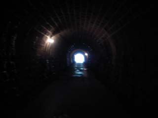 10/9 �V��g���l��