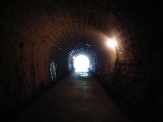 10/9 �V��g���l��