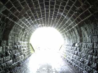 10/9 �V��g���l��