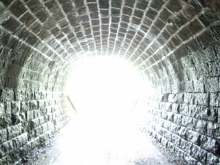 10/9 �V��g���l��