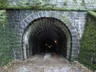 10/9 �V��g���l��