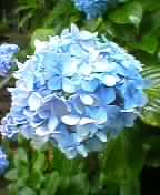 �J�^�c����