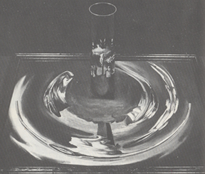 �gAnamorphosis�h