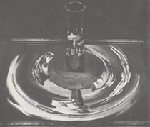 �gAnamorphosis�h