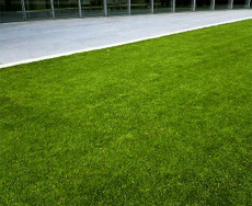 �����~�b�h�^�E���i2007.04.10�j