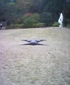 �A���g�j�[�E�S�[�����[ �w�����x