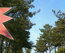 �� �� 2007.05.23