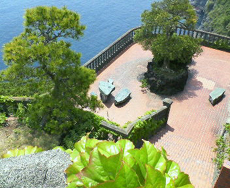 �g���������h