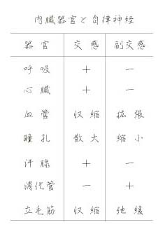 �����튯�Ǝ����_�o