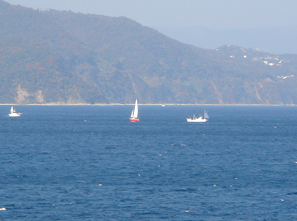 �X�� 2005.11.27 11:58