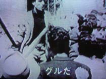 ���]�ԓD�_