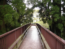 ���΂֋A��