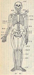 �p���ƍ��i