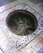 �Q�l�Ƃ���