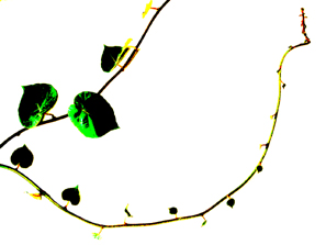 �l�����������̗͂ł́d