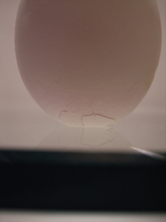 �����I�i�[���j