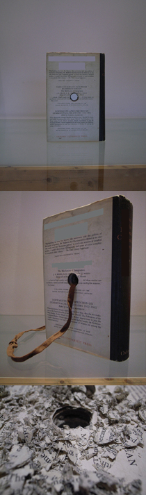 ���J�E�{�[�C�Ǝ�j�Ɨց� 2007