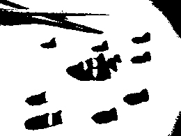 �͂߂Ȃ��i�哤�Ɣ��j