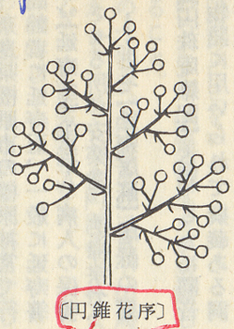 ��ԂƁg�����h