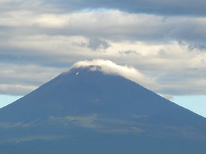 Fuji��
