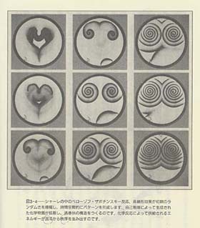 �V���[���̒��̃x���[�]�t�E�U�{�`���X�L�[����