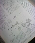 �t���[����