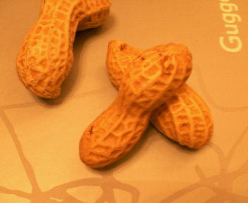 �s�[�i�b�c�ƃr���o�I�E�O�b�Q���n�C���m�[�g