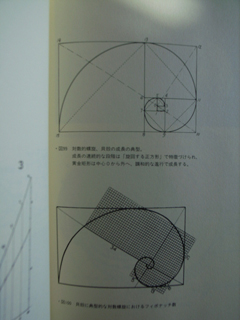 �䕗�����т��i�ΐ������j