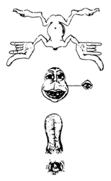 �g�z�����N���X�ƃ����p�b�g�h